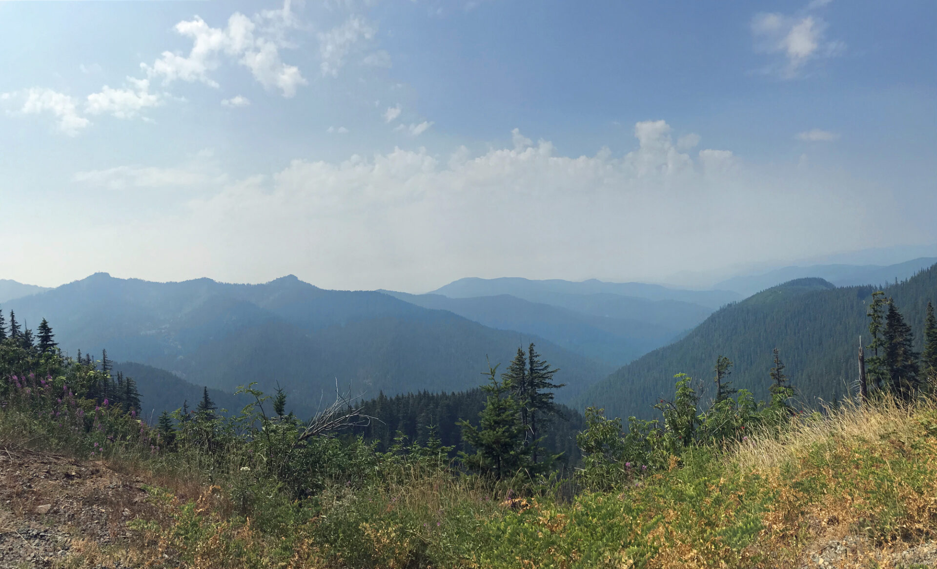 Saddle on Bohemia Mountain