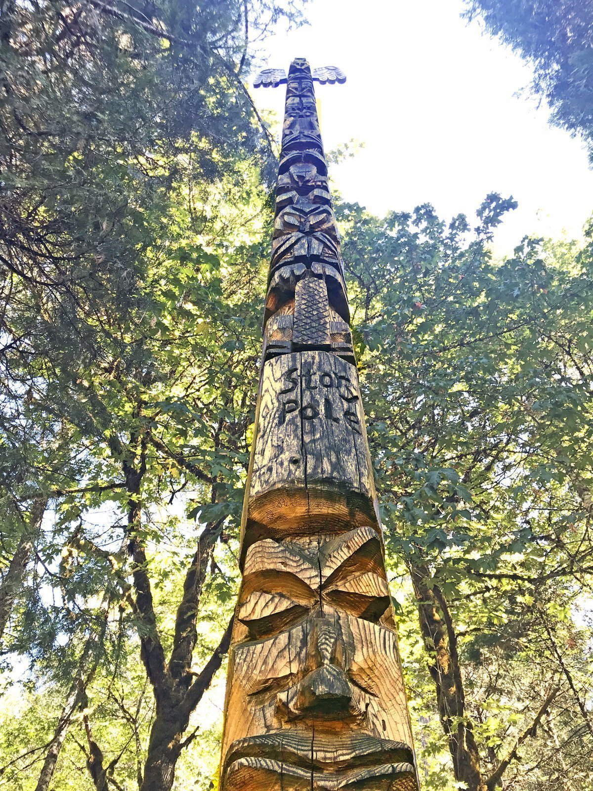 Don Colp carving at Willamette Fish Hatchery in Oakridge