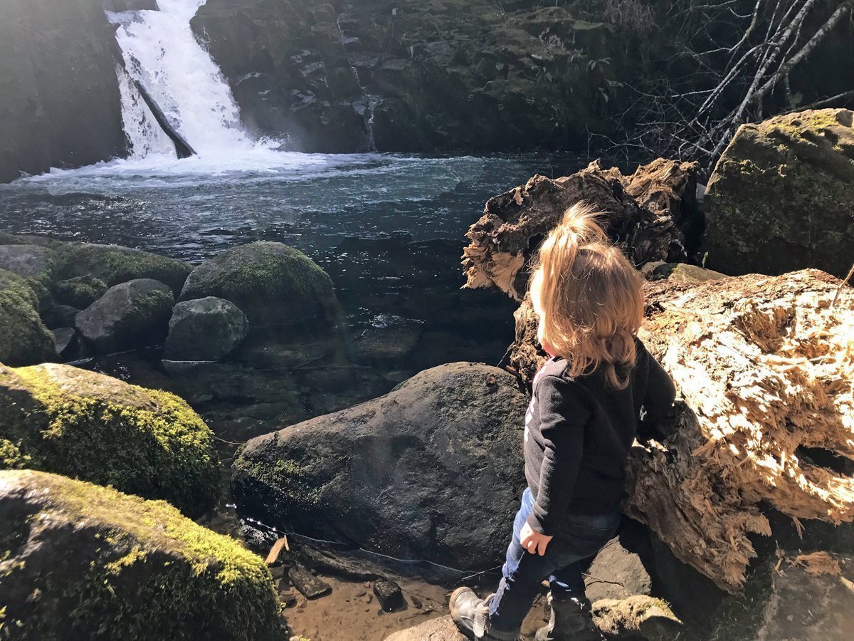 Toddler admires Sweet Creek Falls