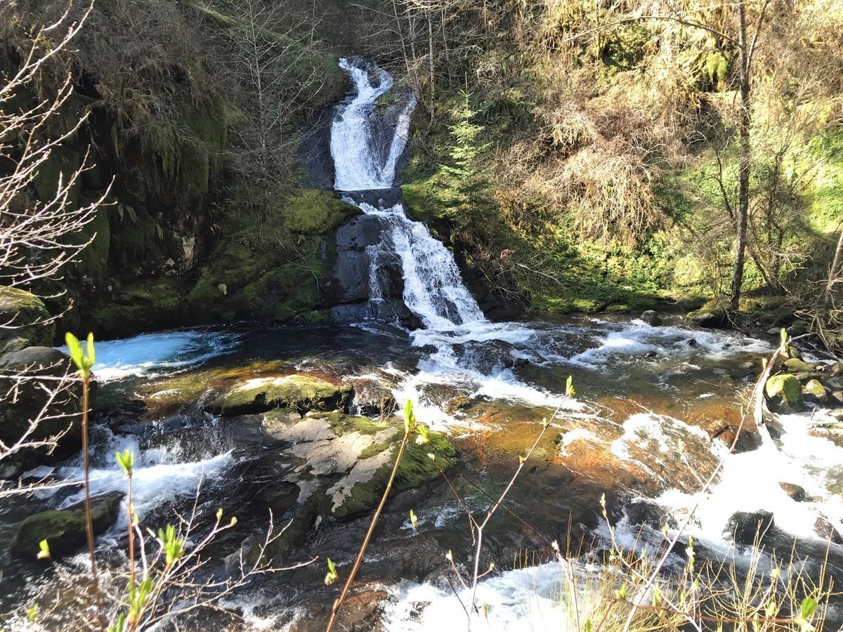 Annice Falls along Sweet Creek Trail