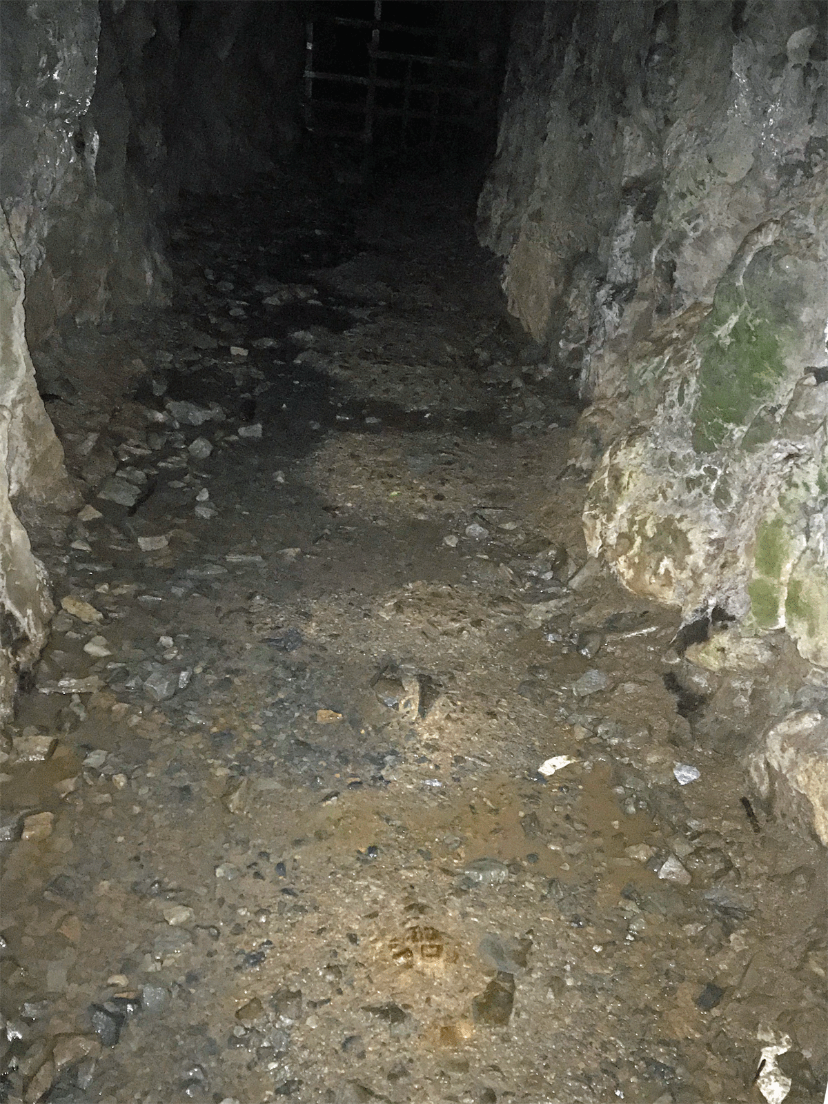 Floor of the Silver King Mine in Oregon