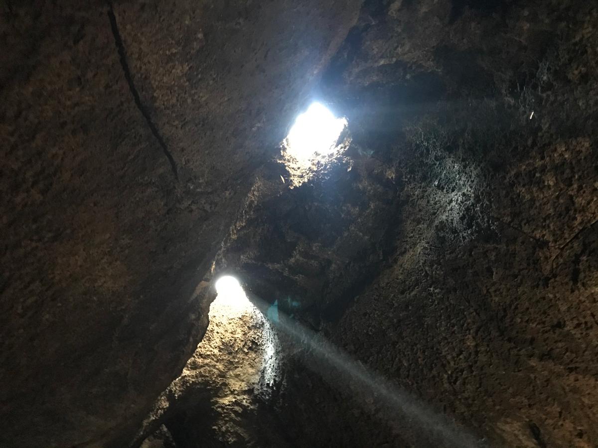 The skylights in the roof of Skylight Cave, two holes in the roof that allows sunlight to the cave floor.